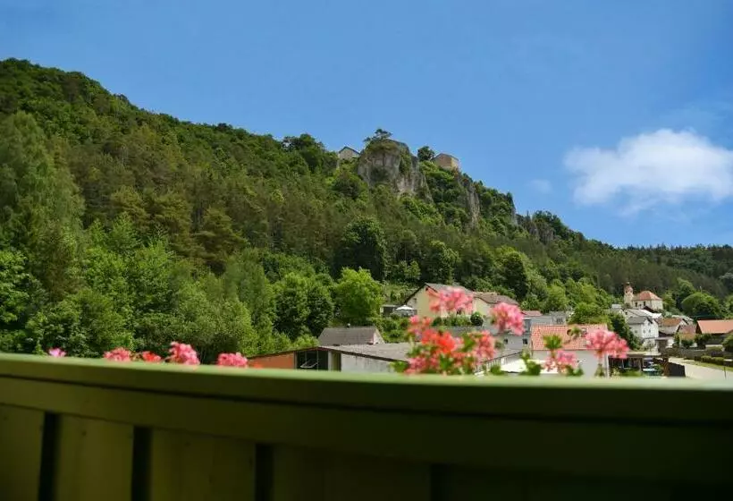 اتاق سوپریور, Landhotel Zum Raben