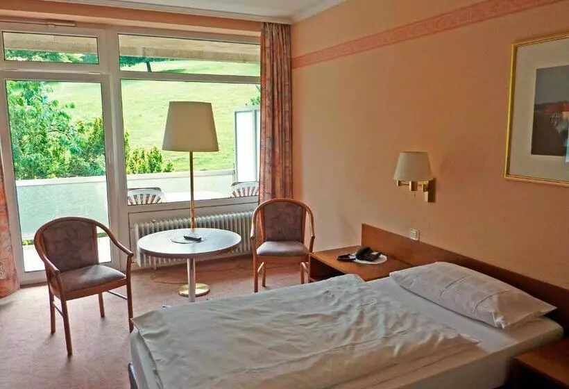 スタンダードシングルルーム, Waldhotel Felsenkeller