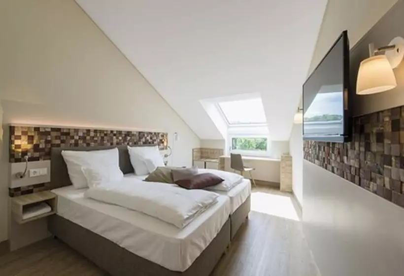 身障者適用スタンダードルーム, Weinhotel Wasem