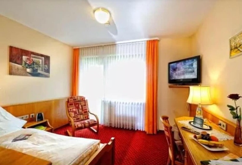 스탠다드 싱글 룸, Wellness Hotel Talblick