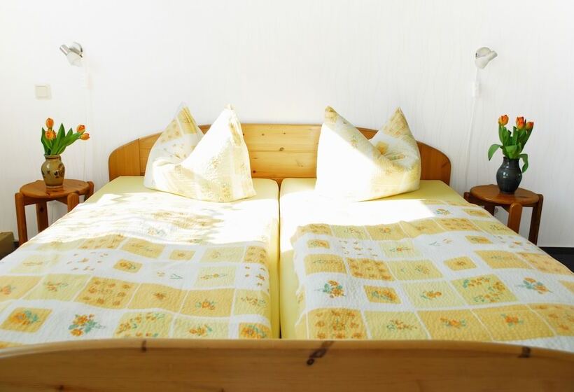 Номер Стандарт, Pension Alter Zausel