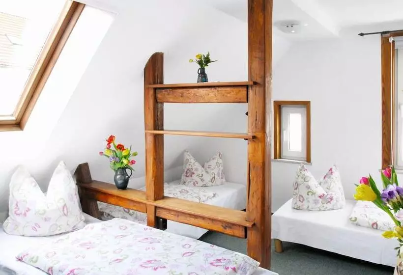 Apartament 2 Dormitoris, Pension Alter Zausel