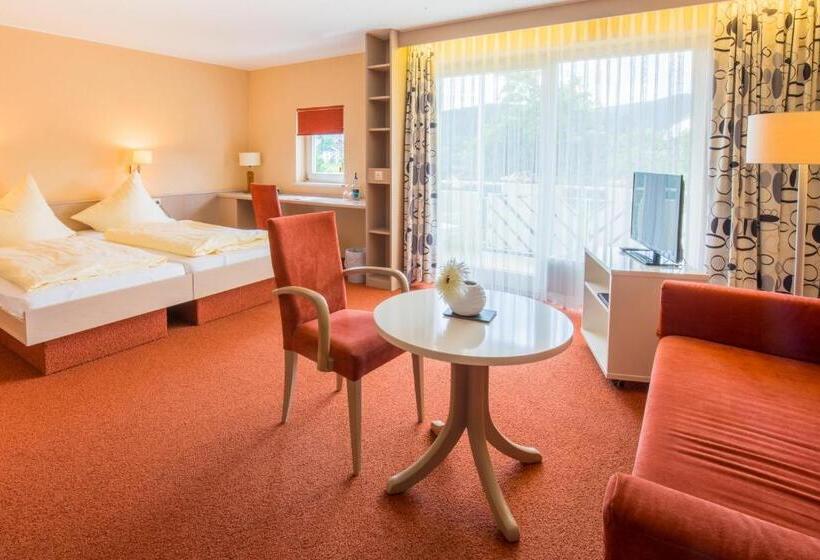 标准间, Bsw Schwarzwaldhotel Baiersbronn