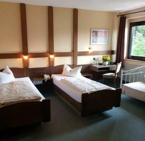 Standard Kolmen Hengen Huone, Heidehotel Anna