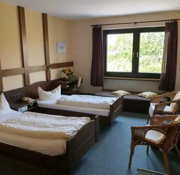 Standard Kolmen Hengen Huone, Heidehotel Anna