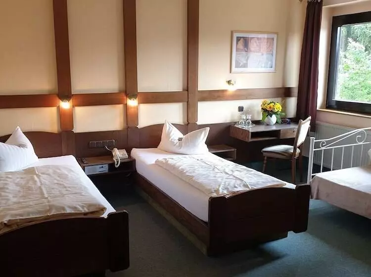 Standard Kolmen Hengen Huone, Heidehotel Anna