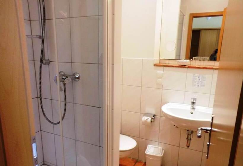 스탠다드 싱글 룸, Erbenhof