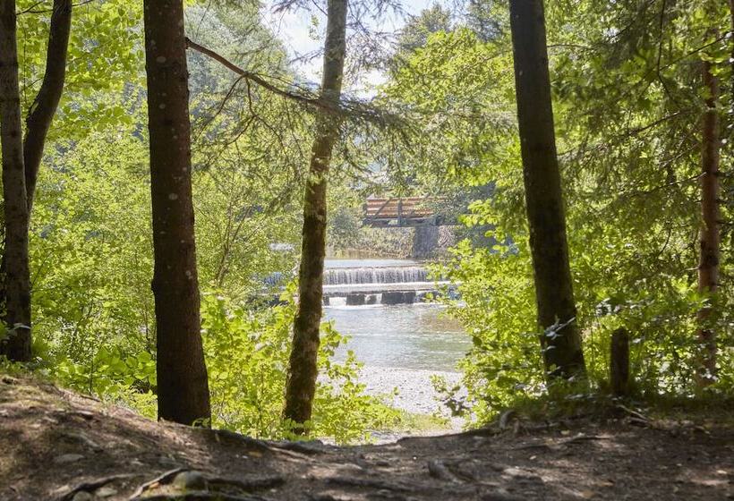 Номер Комфорт, Garni Alte Säge Ruhpolding