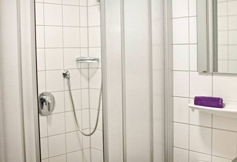 스탠다드 싱글 룸, Gruenshof