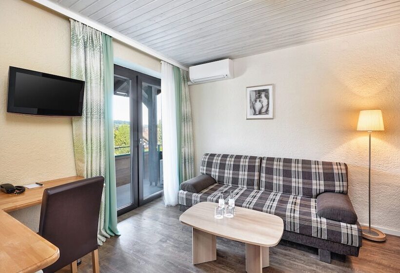 Номер бизнес-класса, Trail Hotel Oberstaufen