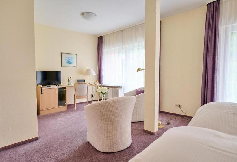 חדר סטנדרט, Morgensonne