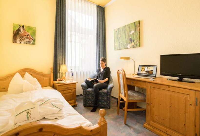 标准单人间, Solehotel Winterberg