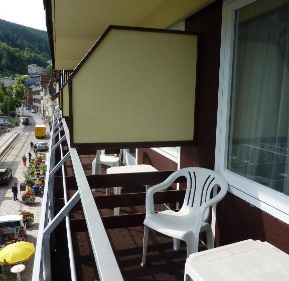 스탠다드 싱글 룸, Traube