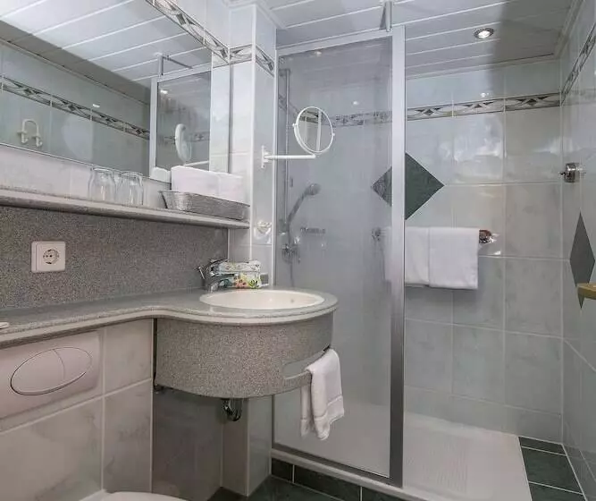 اتاق استاندارد, Kurhotel Unter Den Linden