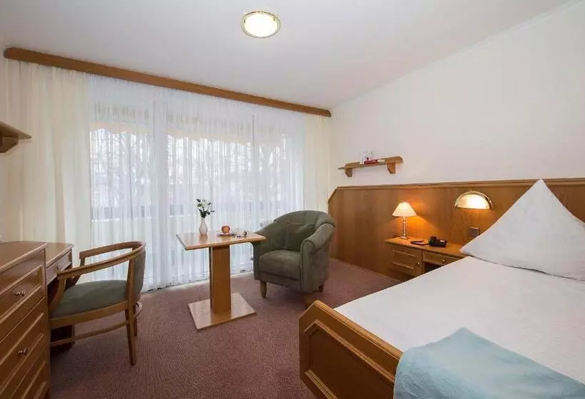 اتاق استاندارد یک نفره, Kurhotel Unter Den Linden