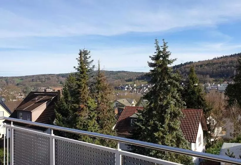 اتاق استاندارد با بالکن, Gästehaus Am Sonnenhügel