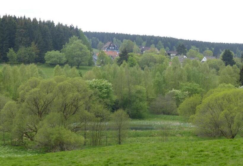 غرفة قياسية, Gästehaus Harzglück