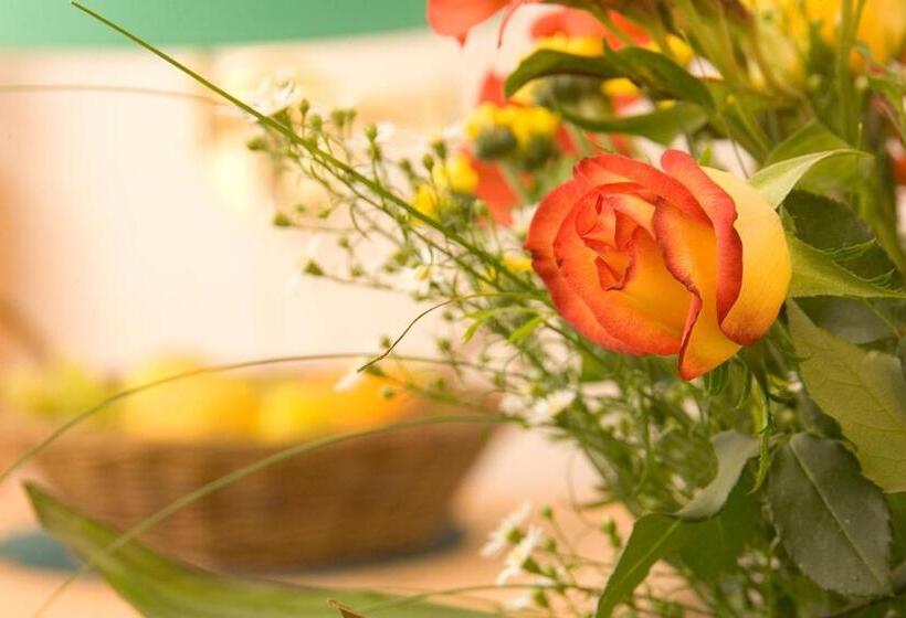 标准单人间, Solehotel Winterberg