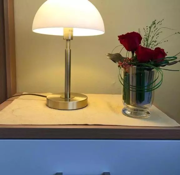 コンフォートシングルルーム, Thermen Hotel Pension Villa Holstein