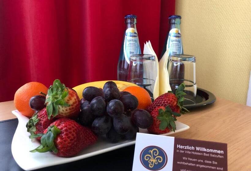 舒适型单人间, Thermen Hotel Pension Villa Holstein