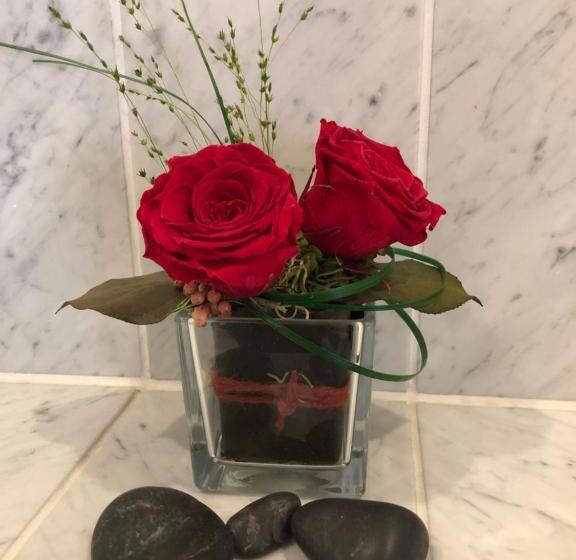 舒适型房间, Thermen Hotel Pension Villa Holstein