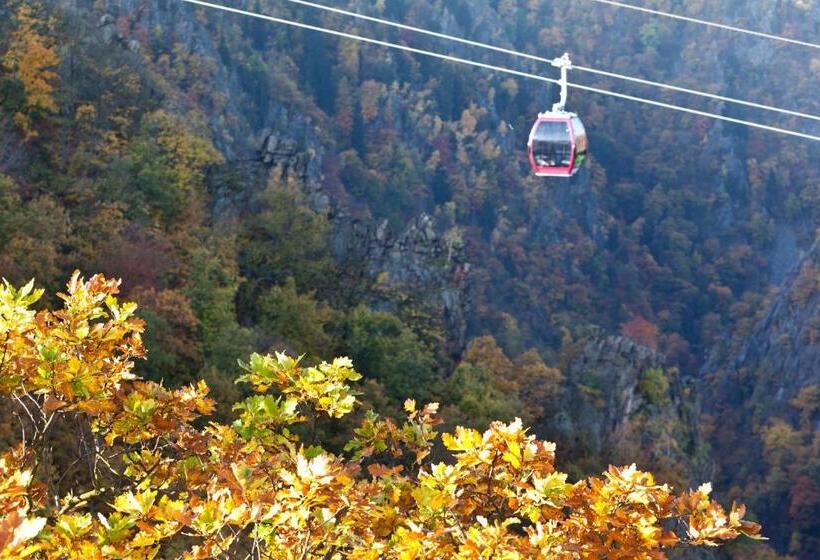 Номер Стандарт, Waldoase Hirschbüchenkopf