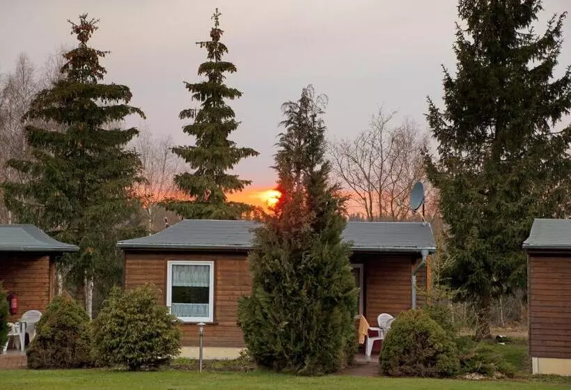 Standard-bungalow, Waldoase Hirschbüchenkopf
