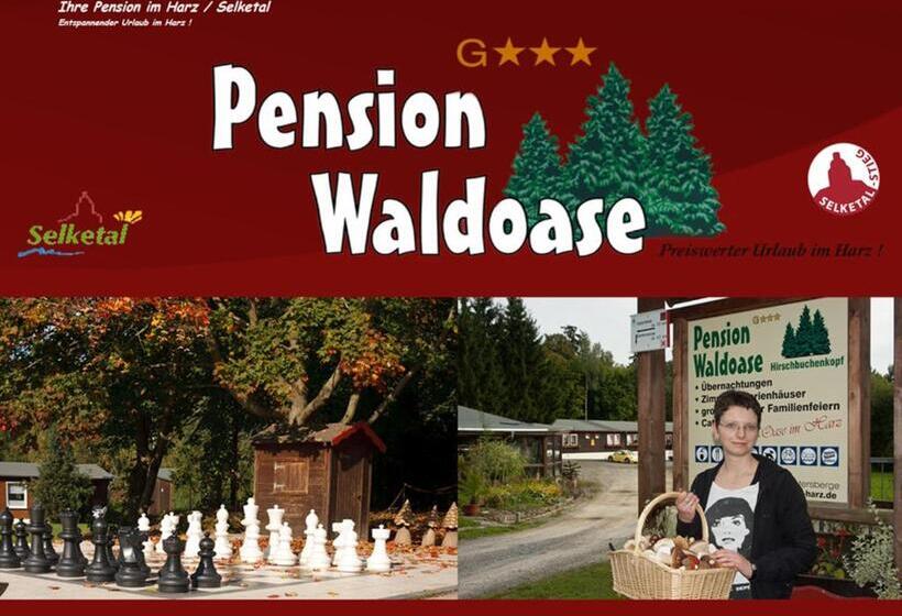 Четырехместный Номер Стандарт, Waldoase Hirschbüchenkopf