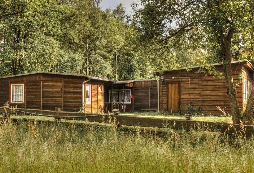 Бунгало Стандарт, Waldoase Hirschbüchenkopf