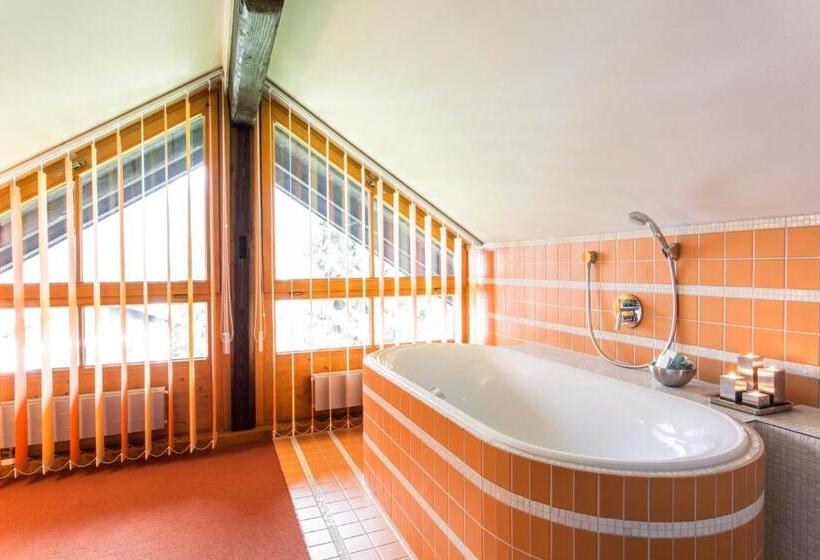 Студия Стандарт, Das Freiberg Romantik