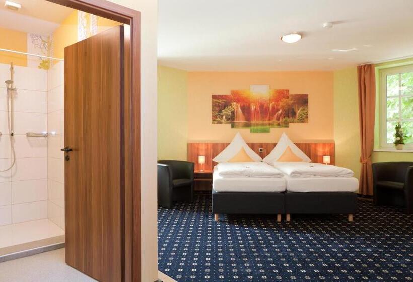 غرفة قياسية, Deutscher Hof