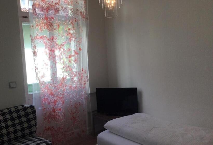 חדר סטנדרט יחיד, Heidelberg Astoria