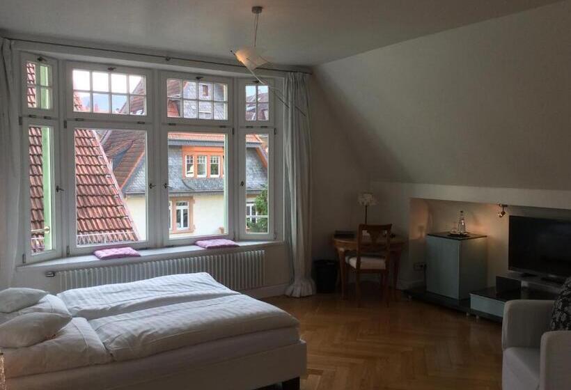 חדר סופריור, Heidelberg Astoria