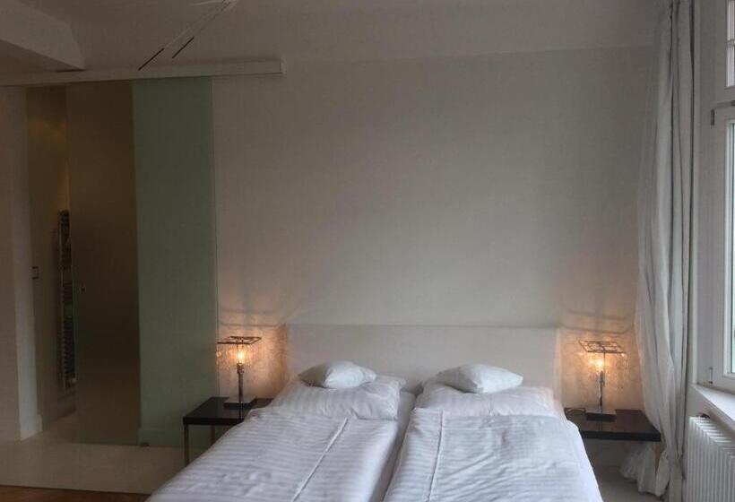 חדר סופריור, Heidelberg Astoria