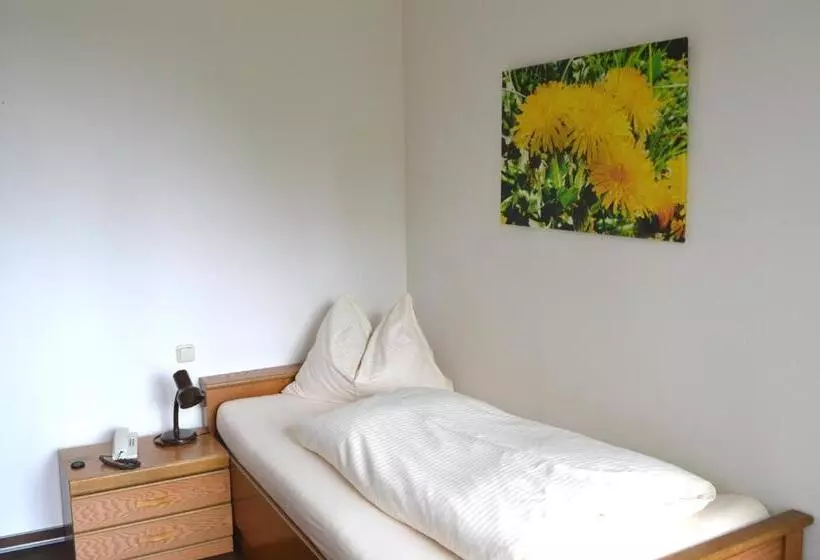 اتاق استاندارد یک نفره, Kneipp Bund Hotel Bad Wörishofen