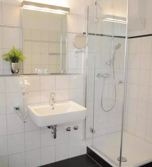 Standard Yhden Hengen Huone, Parkhotel Lippstadt
