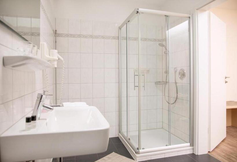 غرفة قياسية فردية, Parkhotel Lippstadt