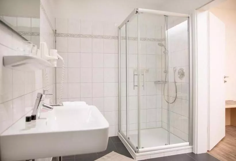 Standard Yhden Hengen Huone, Parkhotel Lippstadt