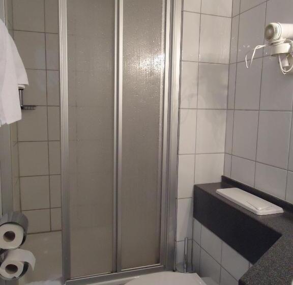 스탠다드 싱글 룸, Schweizer Hof