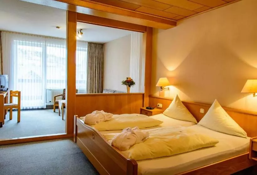 スタンダードルーム, Landhotel Henkenhof Willingen