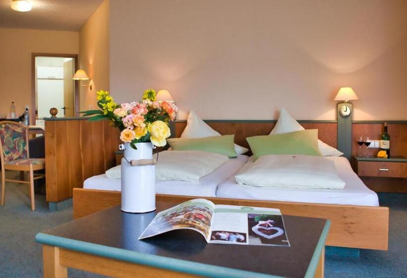 חדר סטנדרט, Landhotel Henkenhof Willingen