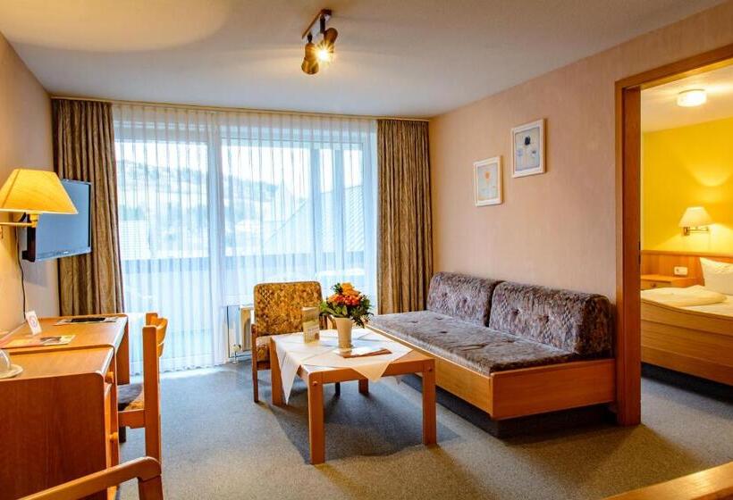 חדר סטנדרט לארבעה, Landhotel Henkenhof Willingen