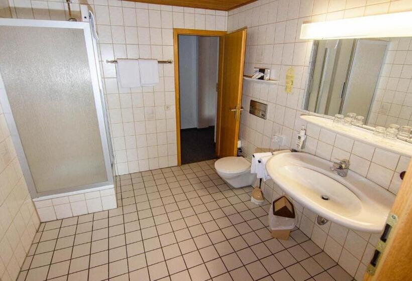 Четырехместный Номер Стандарт, Landhotel Henkenhof Willingen