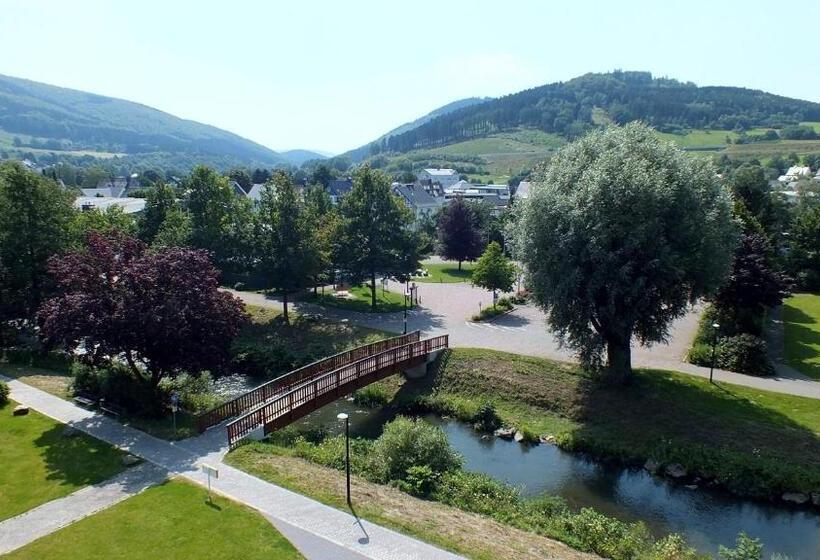 스탠다드 싱글 룸, Parkhotel Olsberg