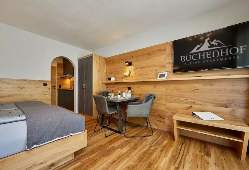 آپارتمان 1 خوابه, Buchenhof Alpine Apartments