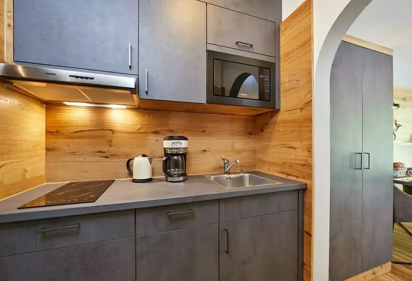 آپارتمان 1 خوابه, Buchenhof Alpine Apartments