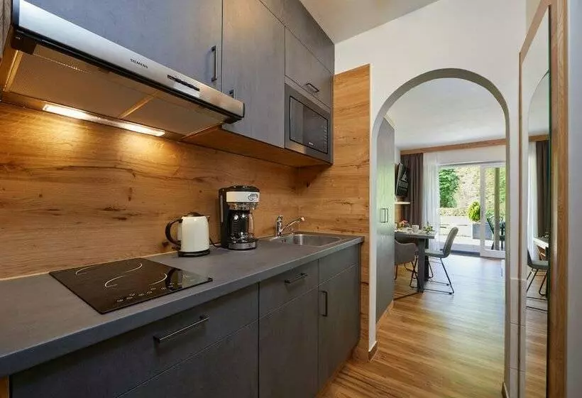 آپارتمان 1 خوابه, Buchenhof Alpine Apartments