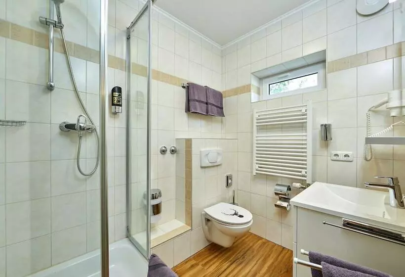 استودیوی استاندارد, Buchenhof Alpine Apartments