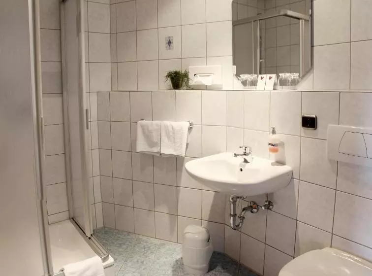 اتاق استاندارد سه نفره, Landgasthof Zum Stern