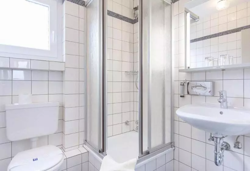 スタンダードシングルルーム, Stadt Gut Hotel Siegboot